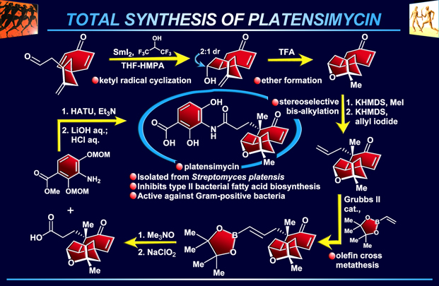 platensimycin