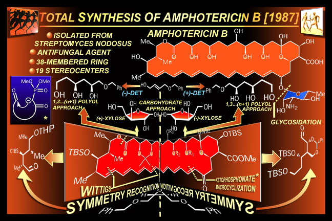 amphotericin B