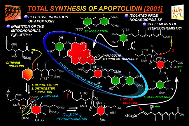 apoptolidin