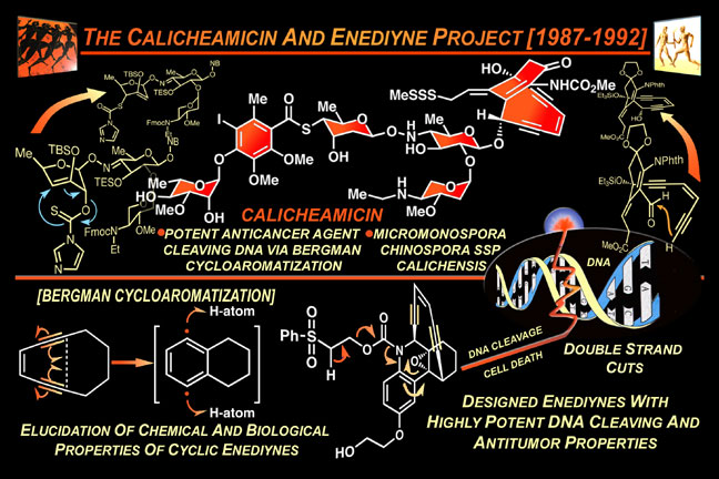 calicheamicin
