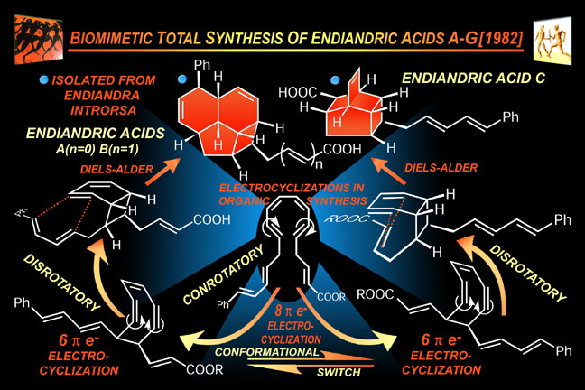 endiandric acids A–G