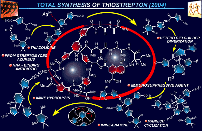 thiostrepton