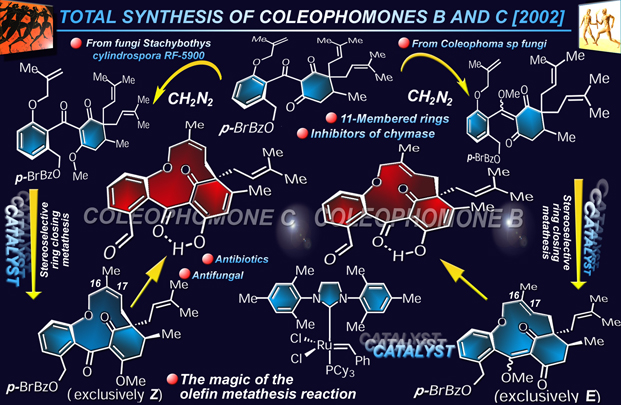 coleophomones