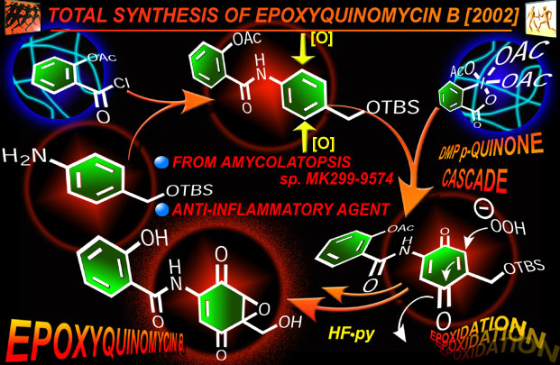 epoxyquinomycin B
