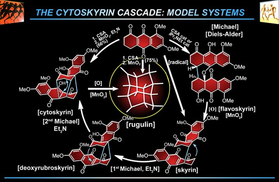 cytoskyrin