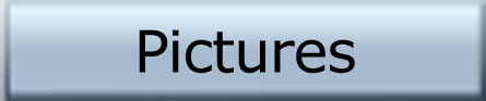 Pictures