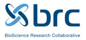 BRC