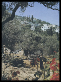 Karmi