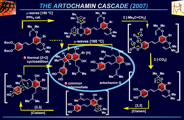 artochamin
