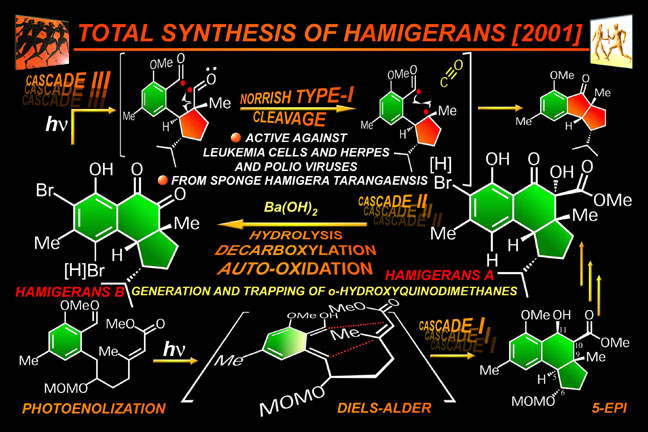 hamigerans