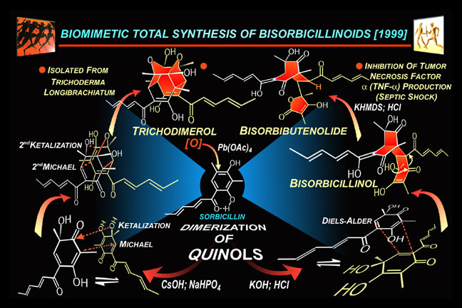 bisorbicillinoids