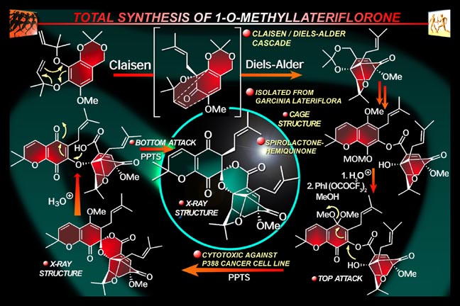 1-O-Methyllateriflorone